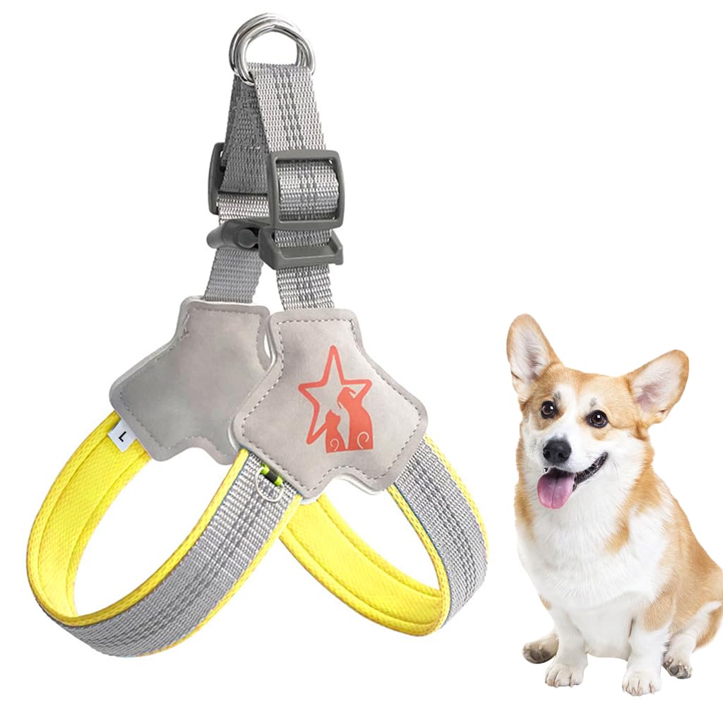 Qpets Large Dog Harness, Adjustable Outdoor Pet Vest Harness, Dog Harness with Safety Reflective Strap & Fashionable Double D-Rings, Easy to Control for Large Dogs (Without Leash, Size L) Qpets Large Dog Harness, Adjustable Outdoor Pet Vest Harness, Dog Harness with Safety Reflective Strap & Fashionable Double D-Rings, Easy to Control for Large Dogs (Without Leash, Size L)